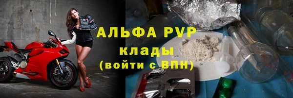 тгк Гусев