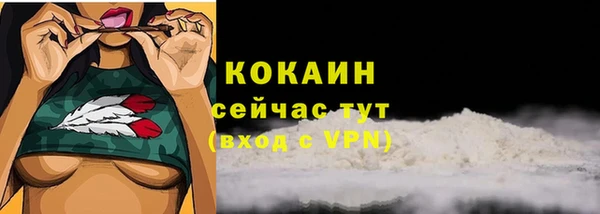 тгк Гусев