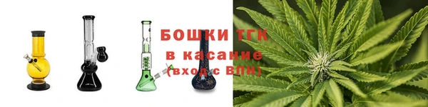 тгк Гусев