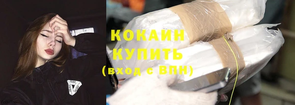 тгк Гусев