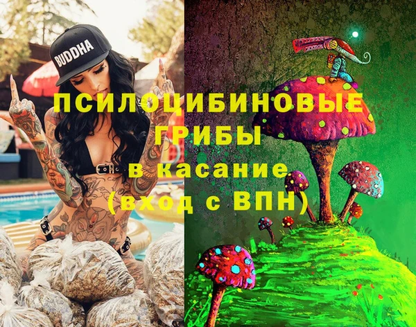спиды Дмитров