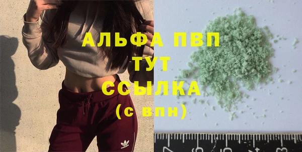 спиды Дмитров