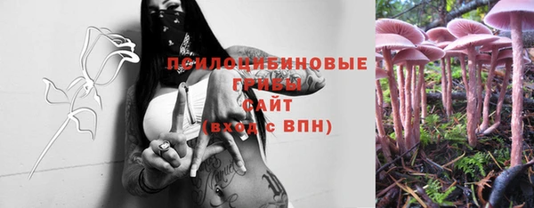 тгк Гусев